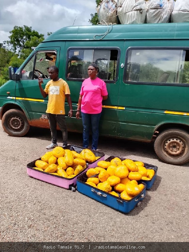 Bole District Police intercept 73 parcels of suspected cannabis; 2 arrested as officers reject alleged ¢30,000 bribe