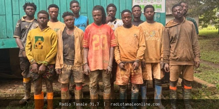 Forestry Commission arrests 12 illegal miners in Atewa Forest