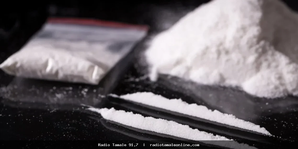 French cocaine seizure: Three suspects linked to ‘Bolle Jos’ network arrested – NACOC
