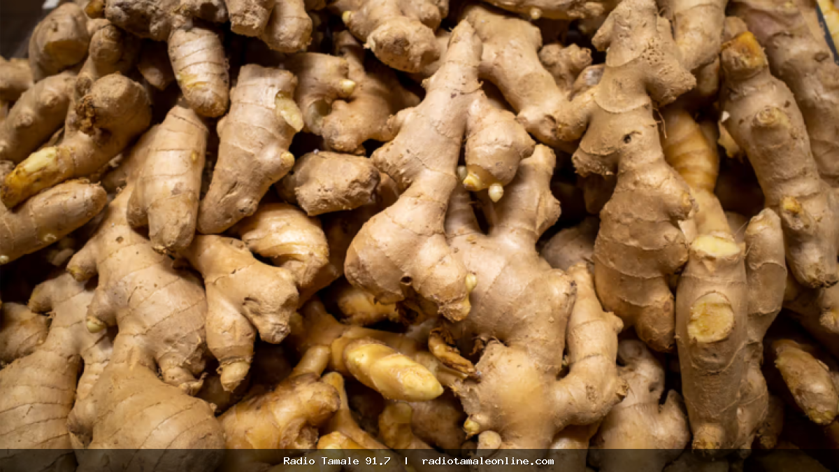 Ginger, shrimps, mangoes lead June 2026 food inflation price hikes