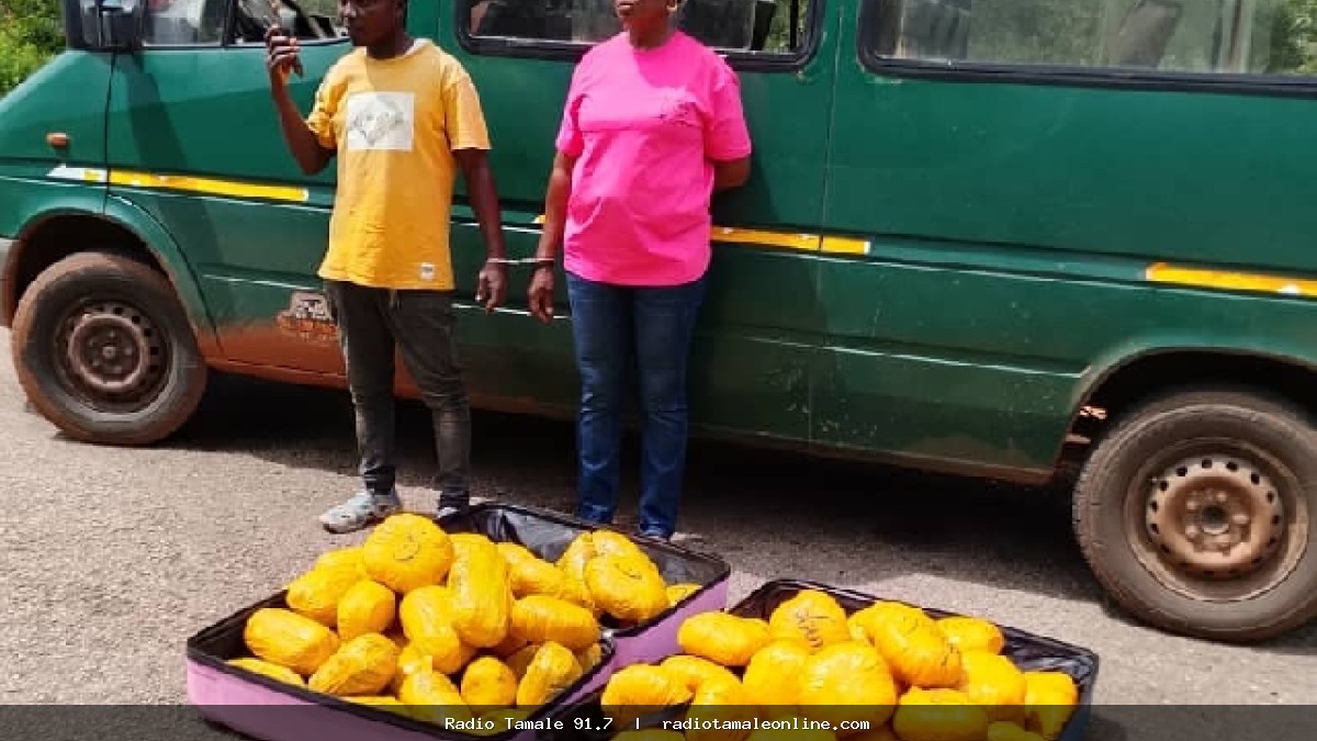 Bole District Police intercept 73 parcels of suspected cannabis; 2 arrested as officers reject alleged ¢30,000 bribe