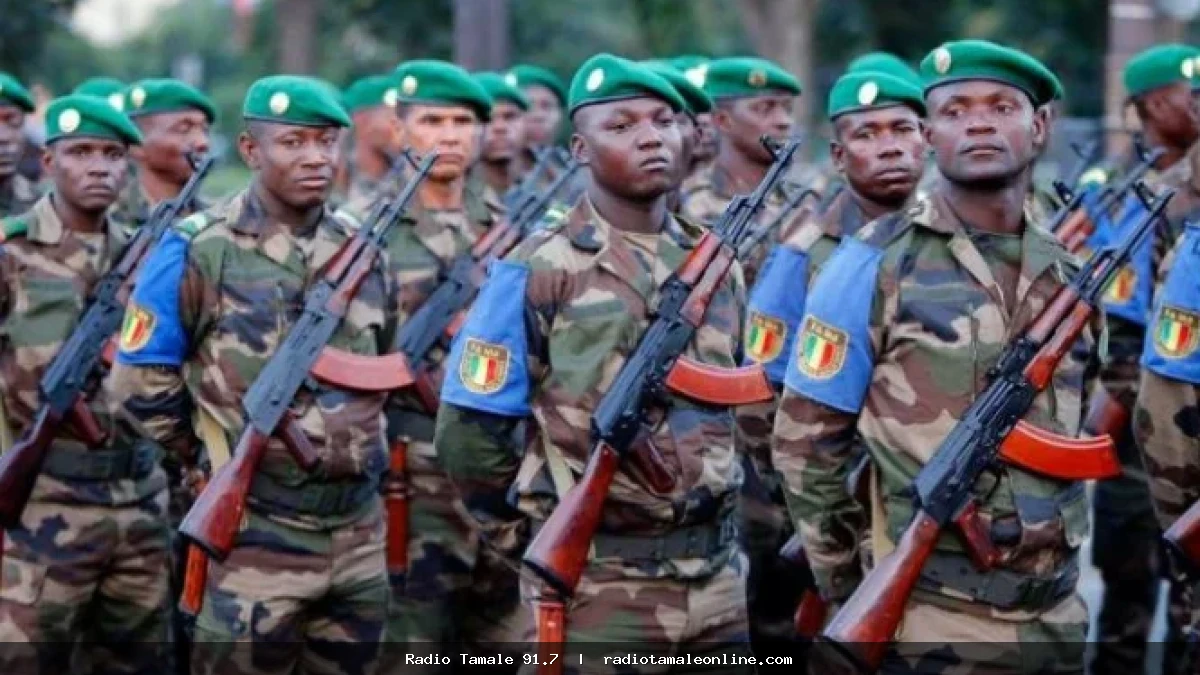 Amnesty accuses Mali army, Wagner of war crimes